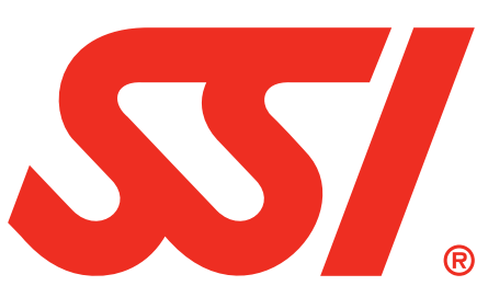 SSI